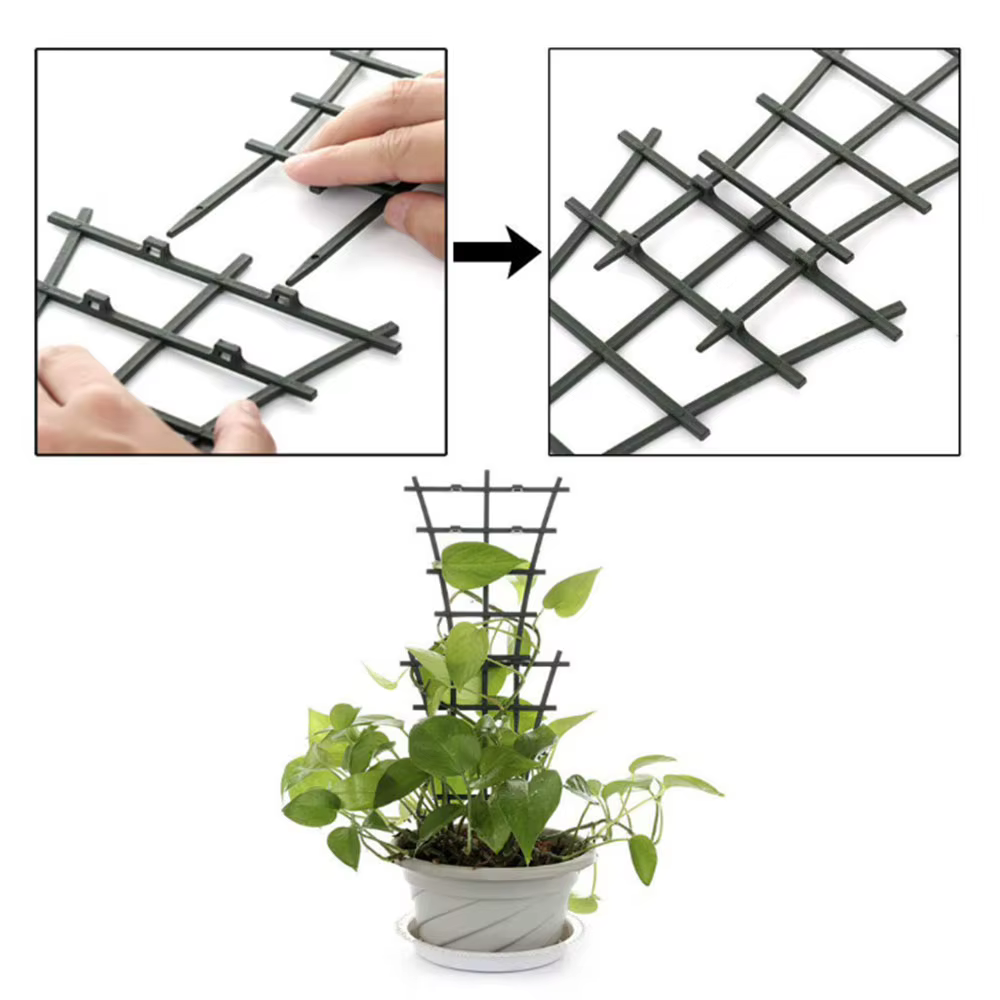 Ligne de poteau de Support d'escalade de plantes