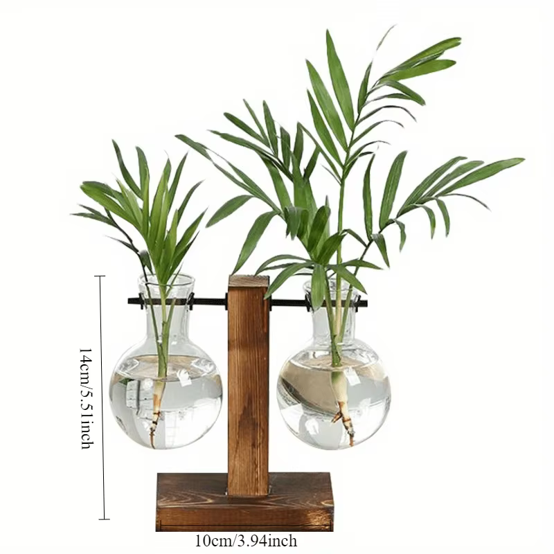 Vases à plantes hydroponiques