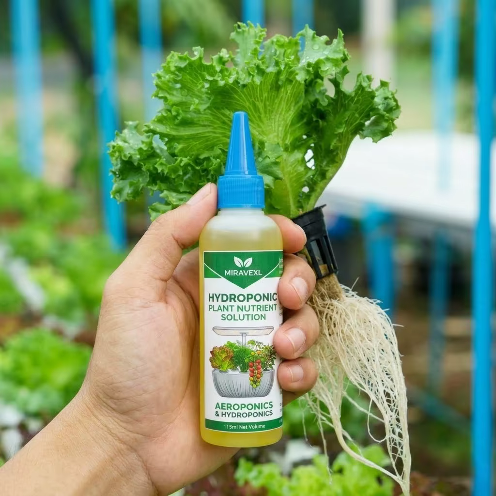 Engrais liquide polyvalent pour plantes