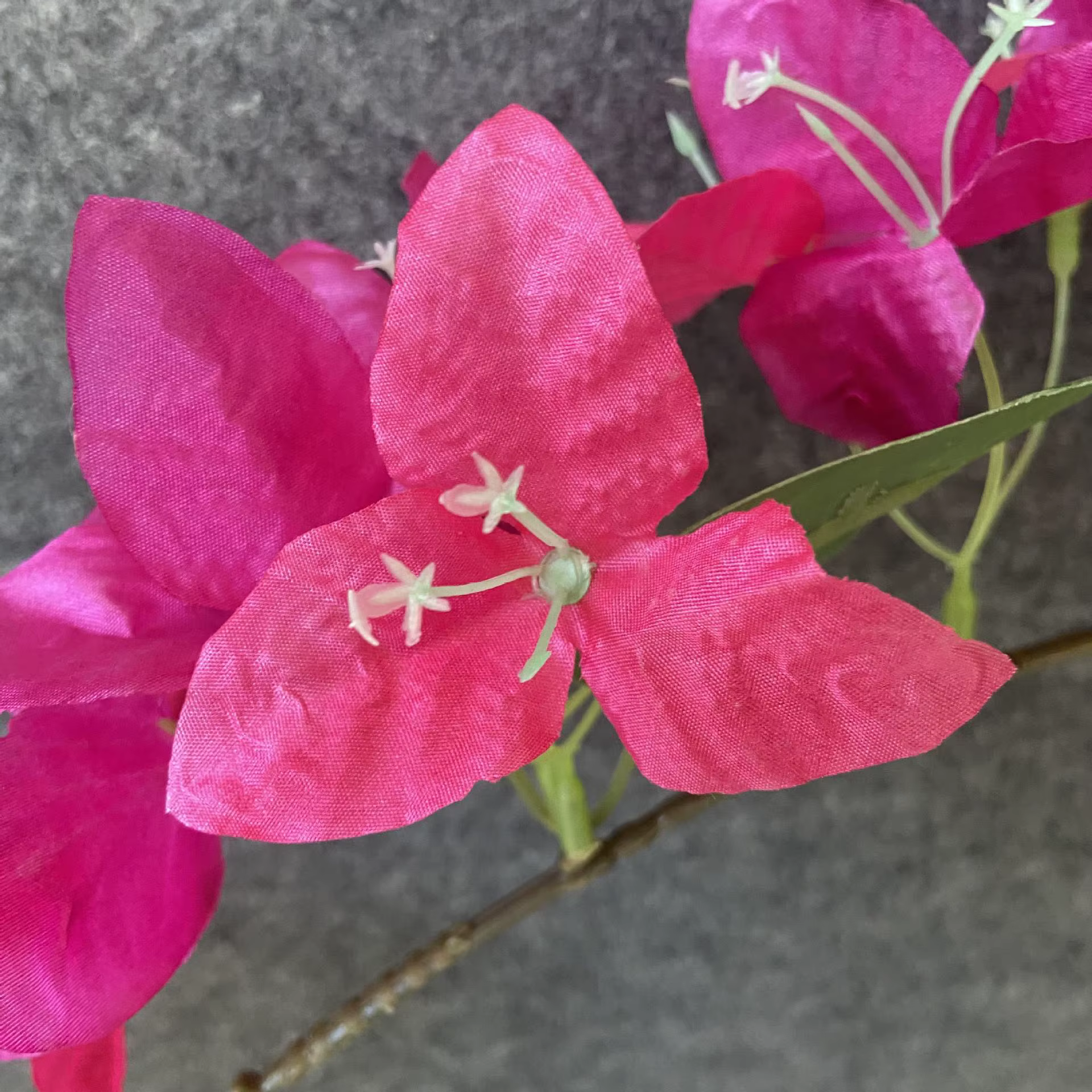 Simulation de Bouquet de bougainville