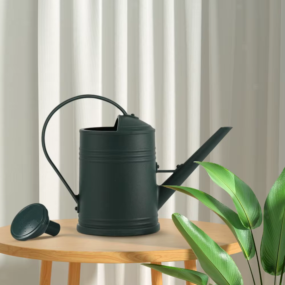 Arrosoir de jardin 2L à long bec pour plantes et fleurs