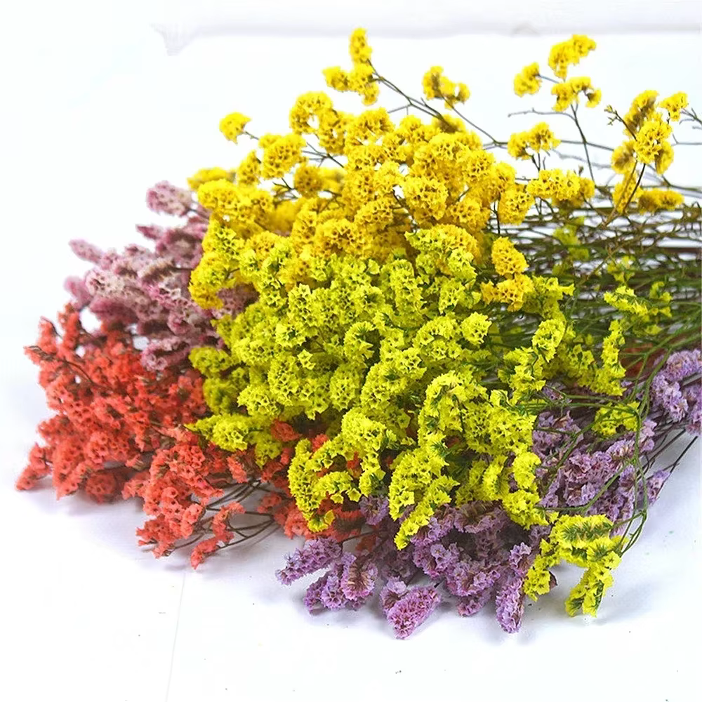 40-50cm, fleurs d'herbe en cristal séchées naturelles