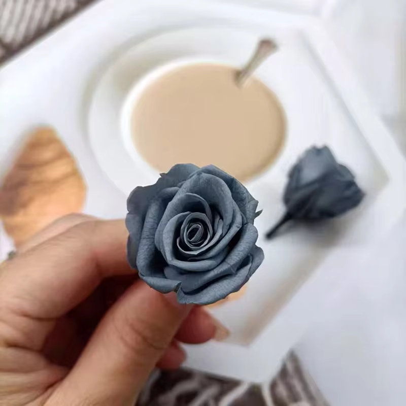 Mini Roses séchées réelles conservées
