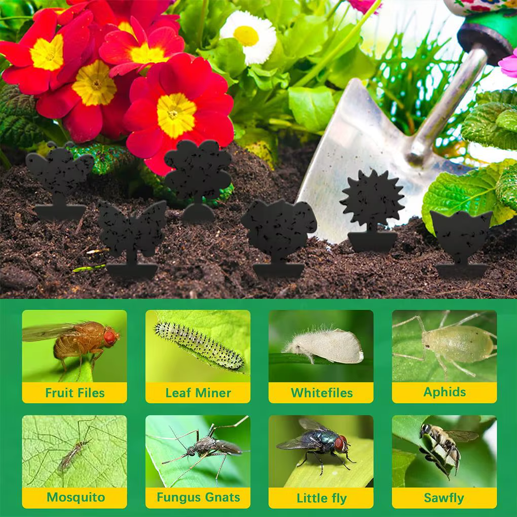 Piège à mouches collantes pour plantes d'intérieur
