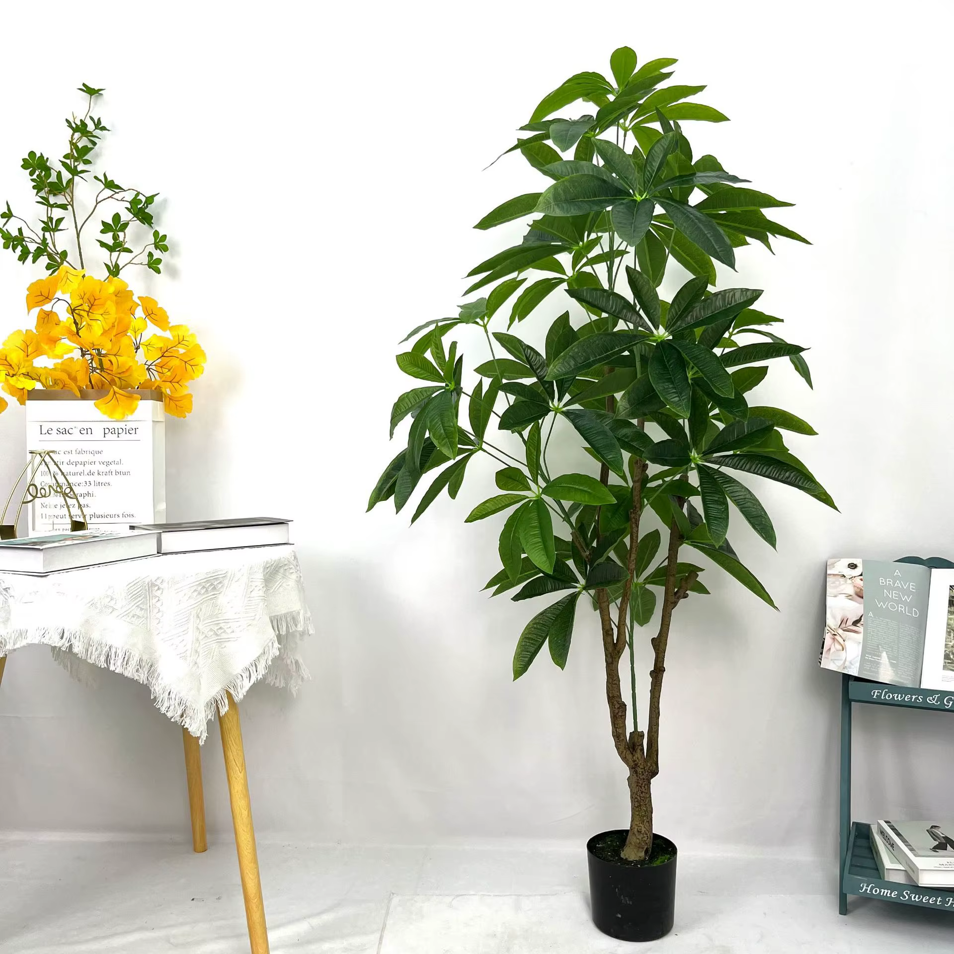 Grande plante verte sur pied en pot