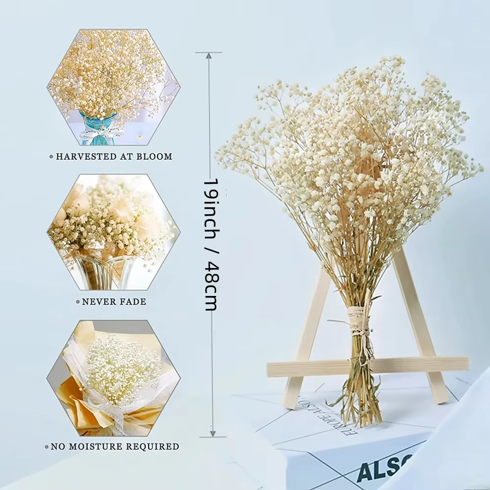 Fleurs séchées naturelles et préservées