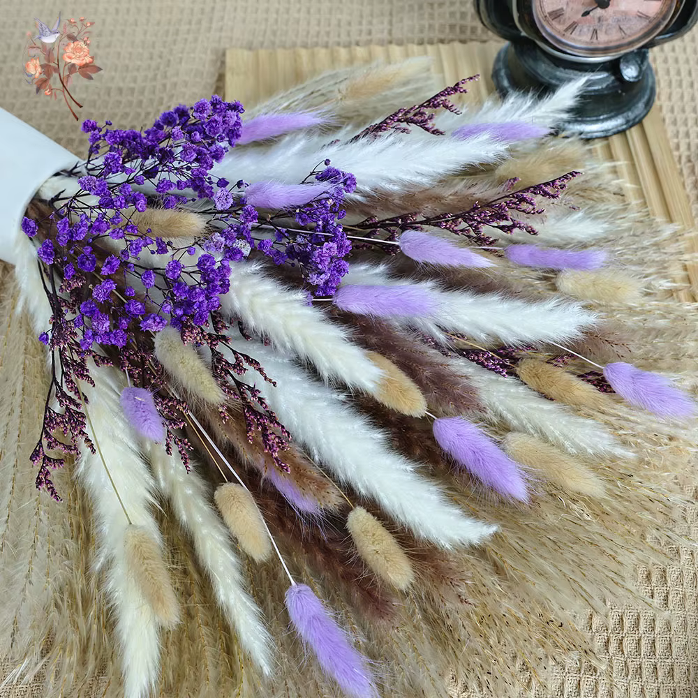 70 tiges séchées violet souffle de bébé queues de lapin herbe fleurs Bouquet décoratif chambre salon Vase remplissage Pampas décor à la maison