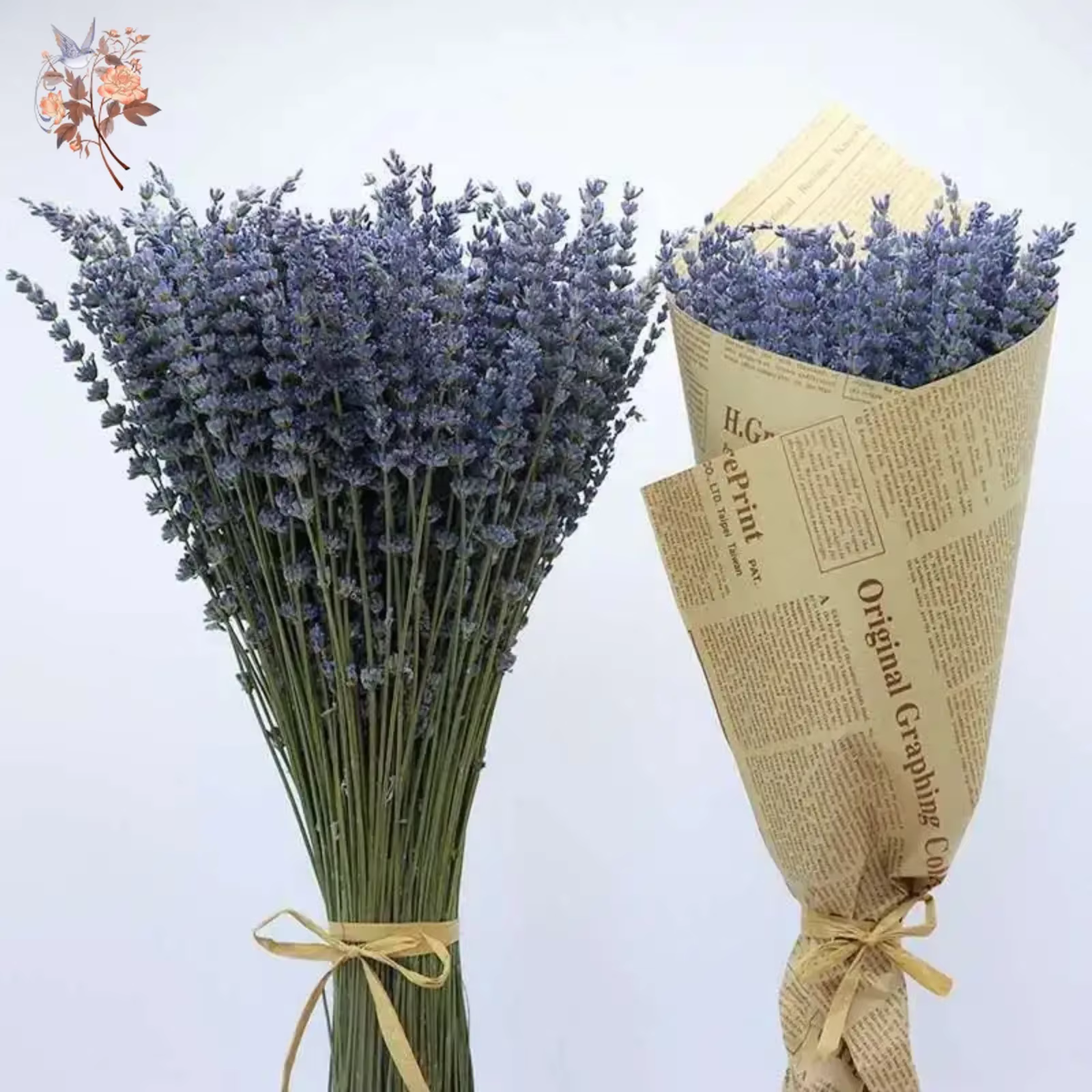 Bouquets de fleurs séchées naturelles de µpour la décoration intérieure