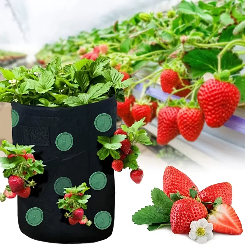 Sac de plantation suspendu pour fraises et tomates