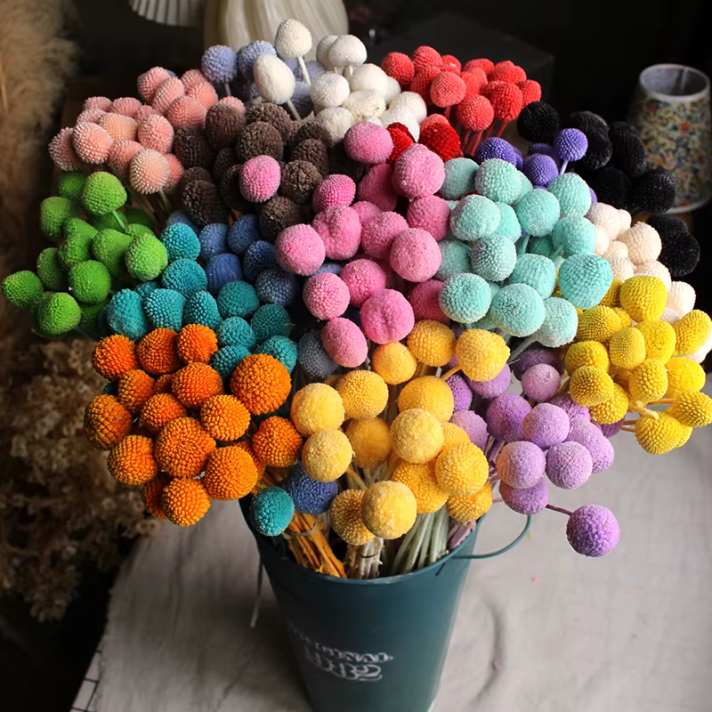 Bouquet de fleurs sèches en boule dorée
