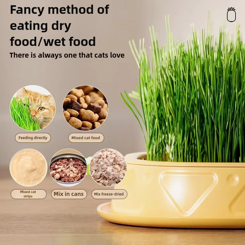 Jardinière hydroponique d'herbe pour chat