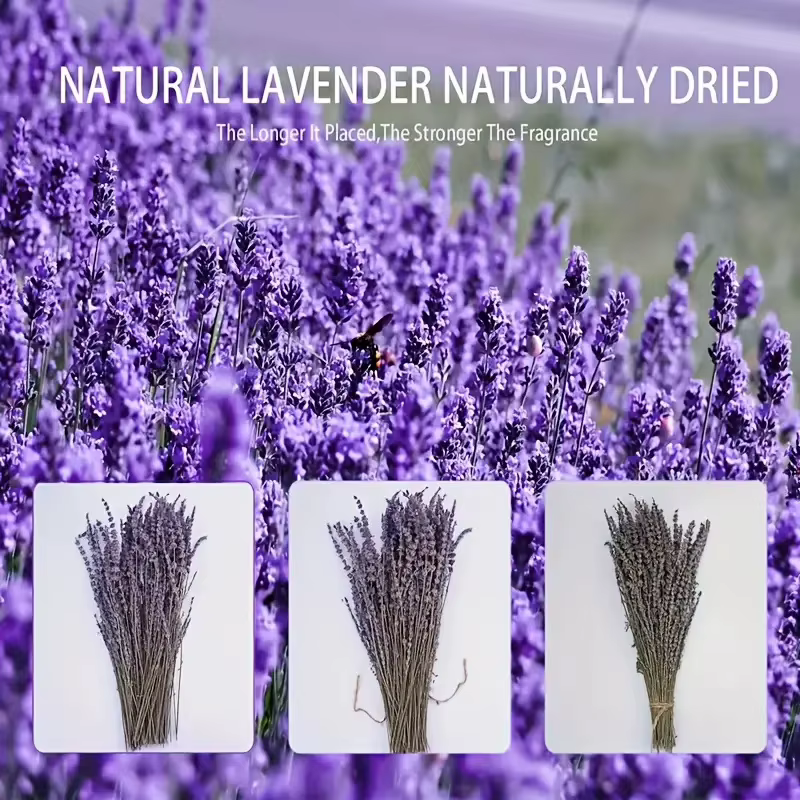 Mèches de fleurs de lavande séchées naturelles