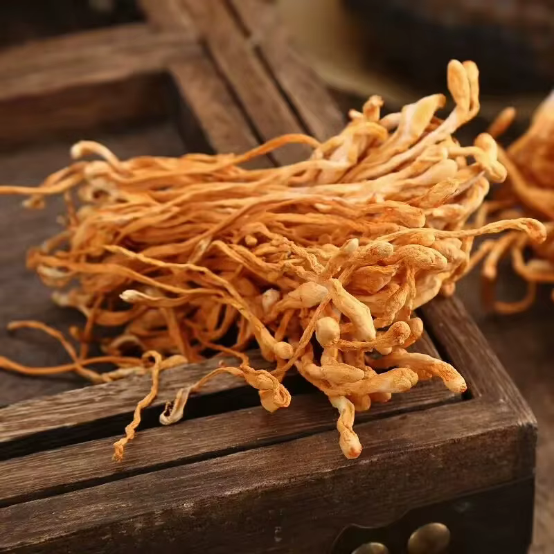 Fleur de Cordyceps séchée naturelle premium | Pour la beauté et le bien-être