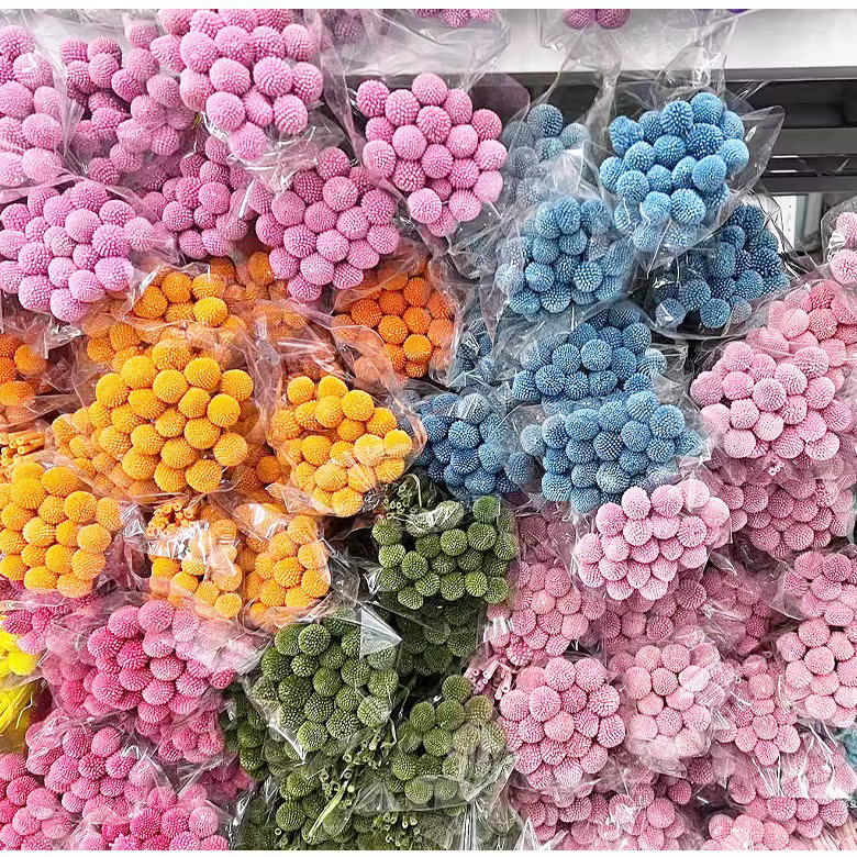 Bouquet de fleurs sèches en boule dorée
