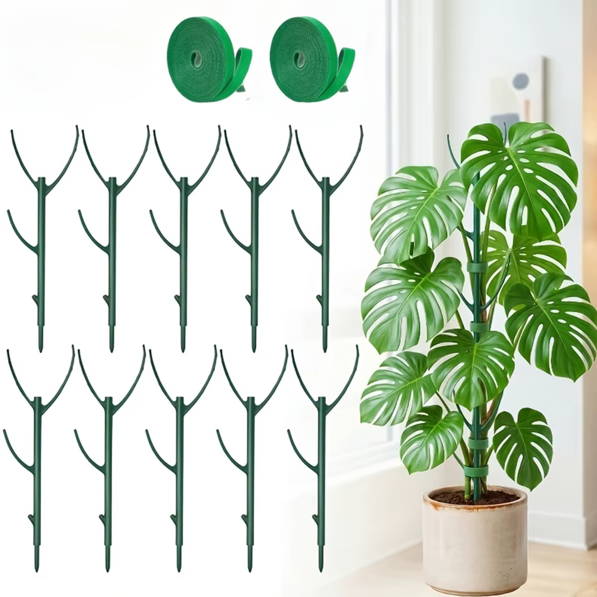 6 piquets de support pour plantes Monstera