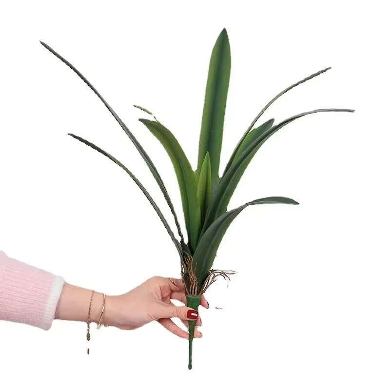 Feuilles de clivia artificielles plantes vertes