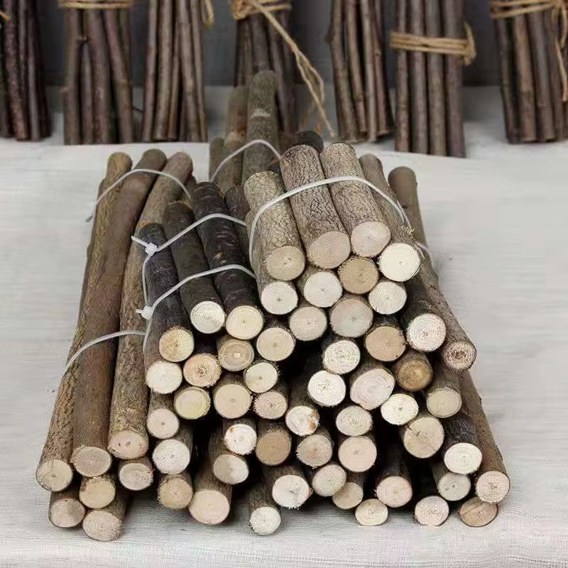 Brindilles de bouleau naturel