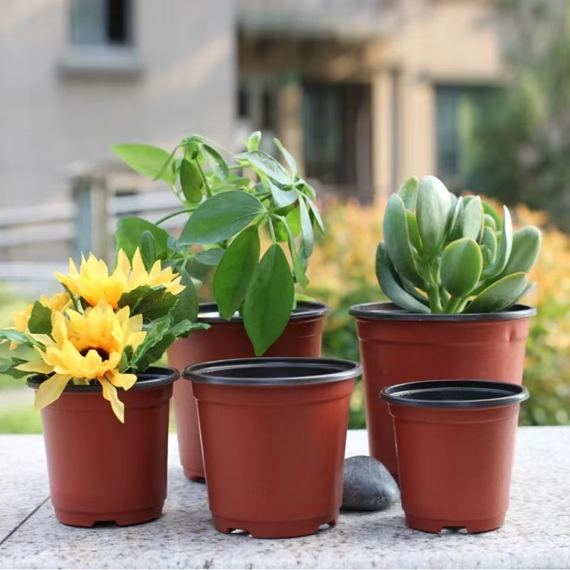 Pot de fleurs en plastique pour culture de plantes succulentes