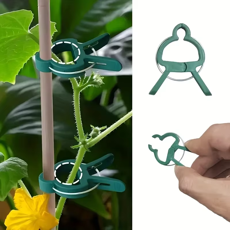 10/30 pièces de pinces de jardin réutilisables