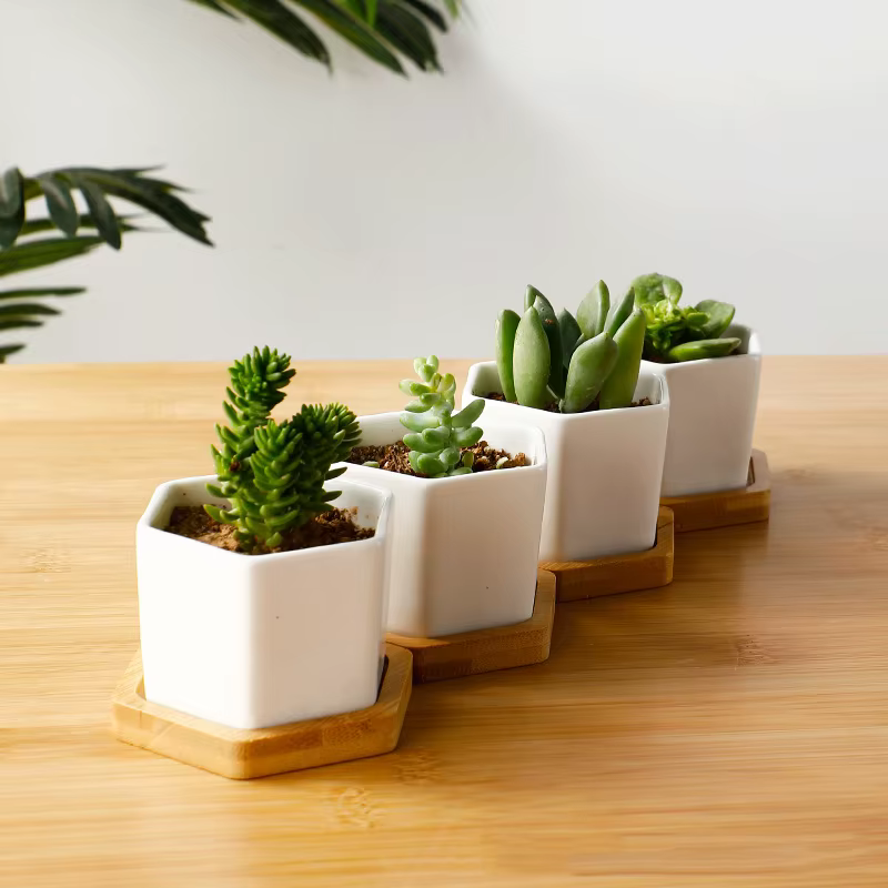 Pot de fleurs en céramique blanc hexagonal avec plateau