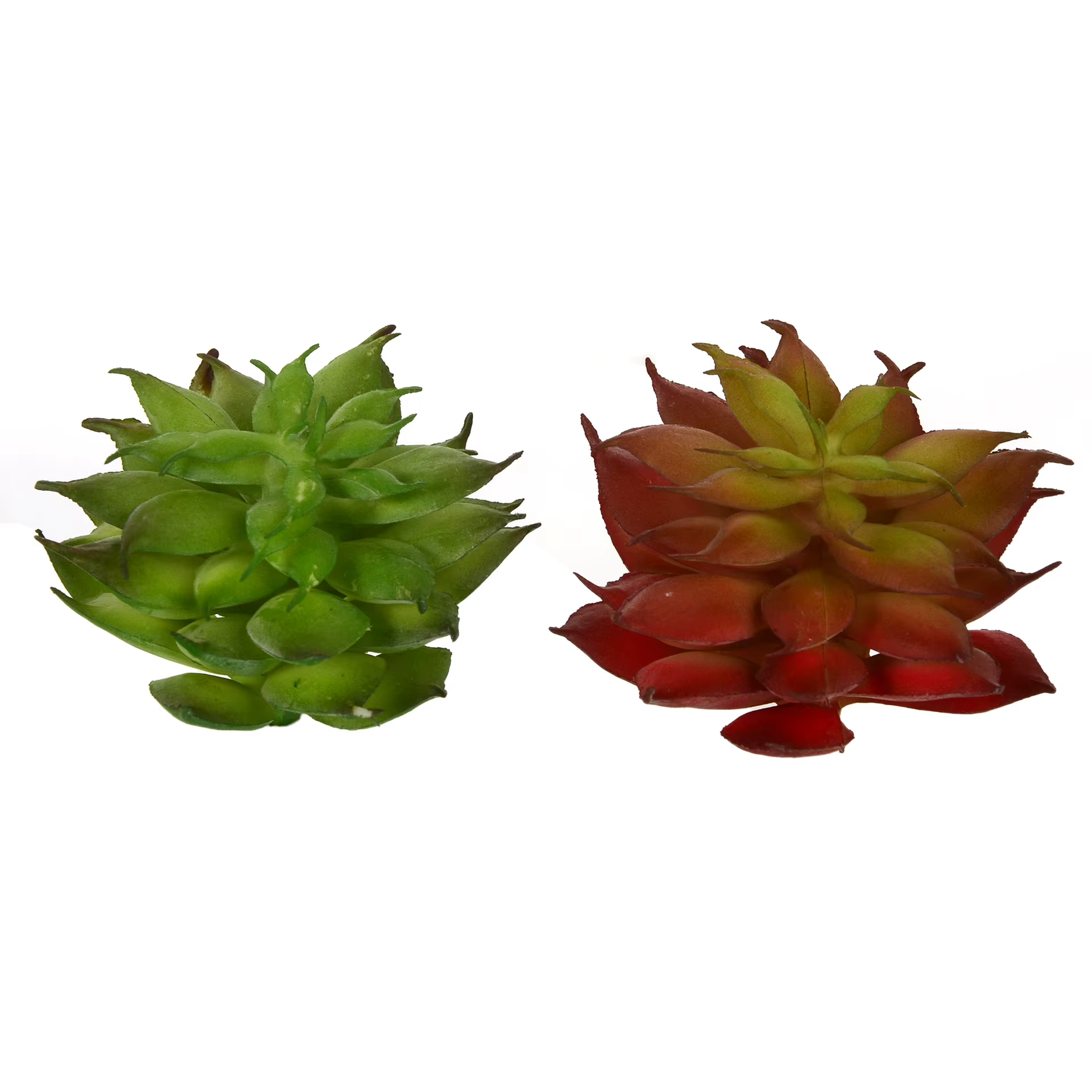 Mini plantes succulentes artificielles Lotus