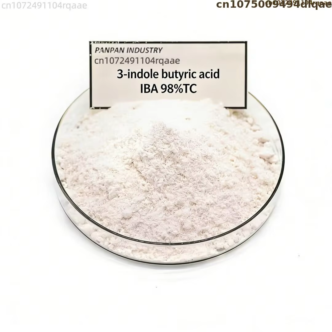 Sel de potassium d'acide indole-3-butyrique (IBA-K) soluble dans l'eau 98% TC - Hormone d'enracinement végétal en poudre pour le jardinage et l'agriculture