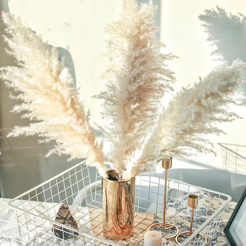 Décoration d'herbe de Pampa Boho 60cm