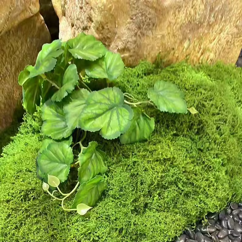 300/30g vie éternelle mousse herbe artificielle vert