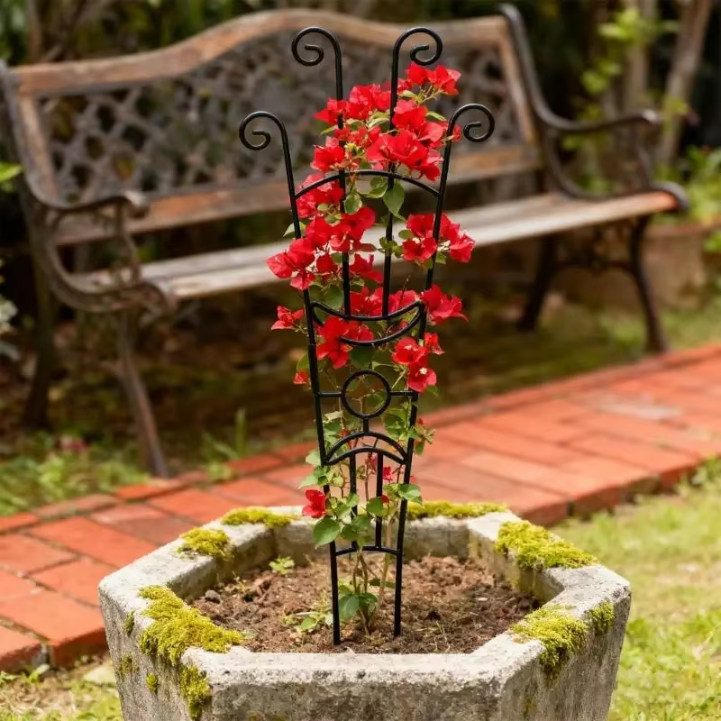 Structure Support plante en fer anti-oxydation