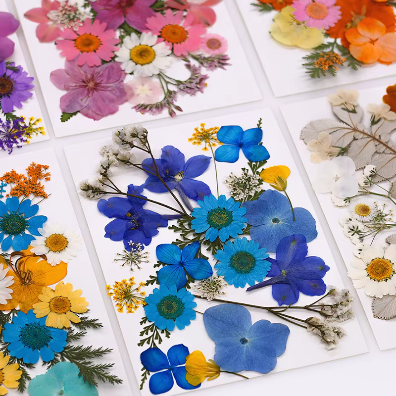 Fleur séchée pour bricolage