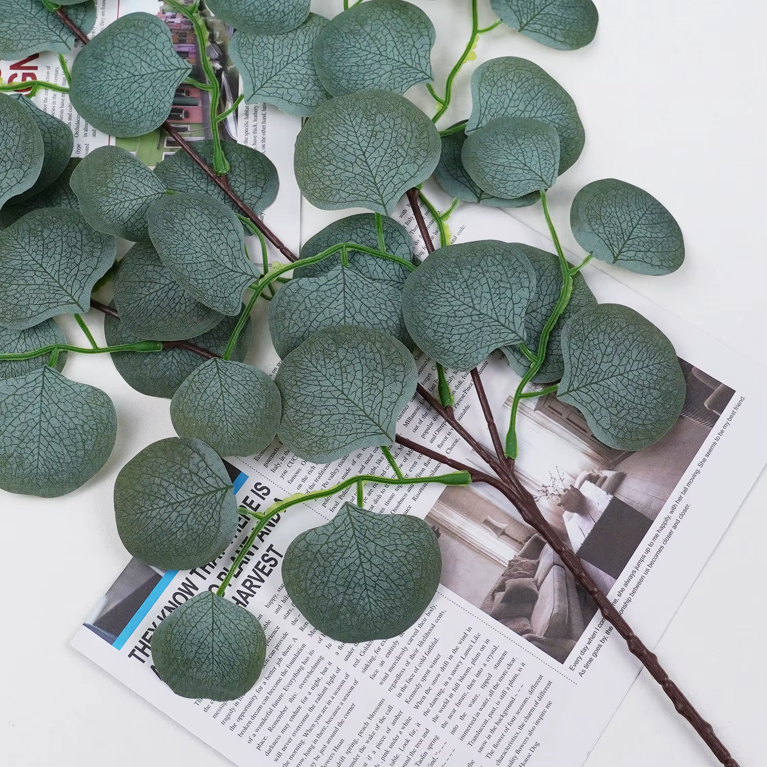 Plantes artificielles de vigne en feuille d'eucalyptus