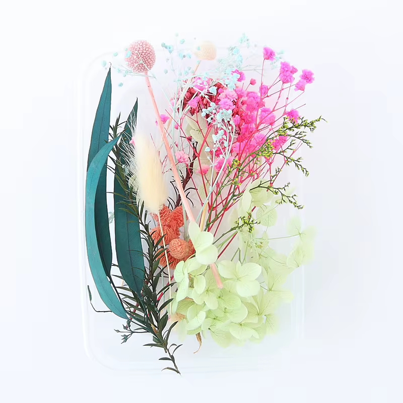 Ensemble de feuilles de fleurs séchées véritables