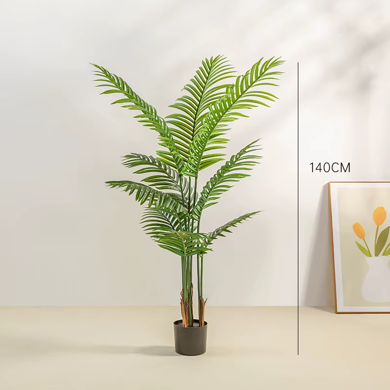 Simulation plante verte Areca