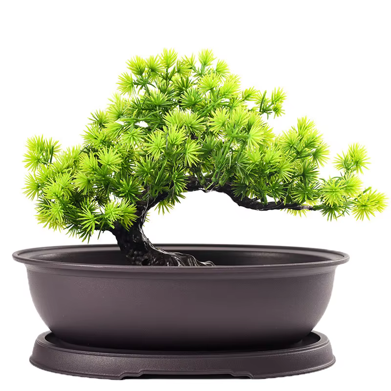 Pots de fleurs en plastique Imitation violet argile plantes