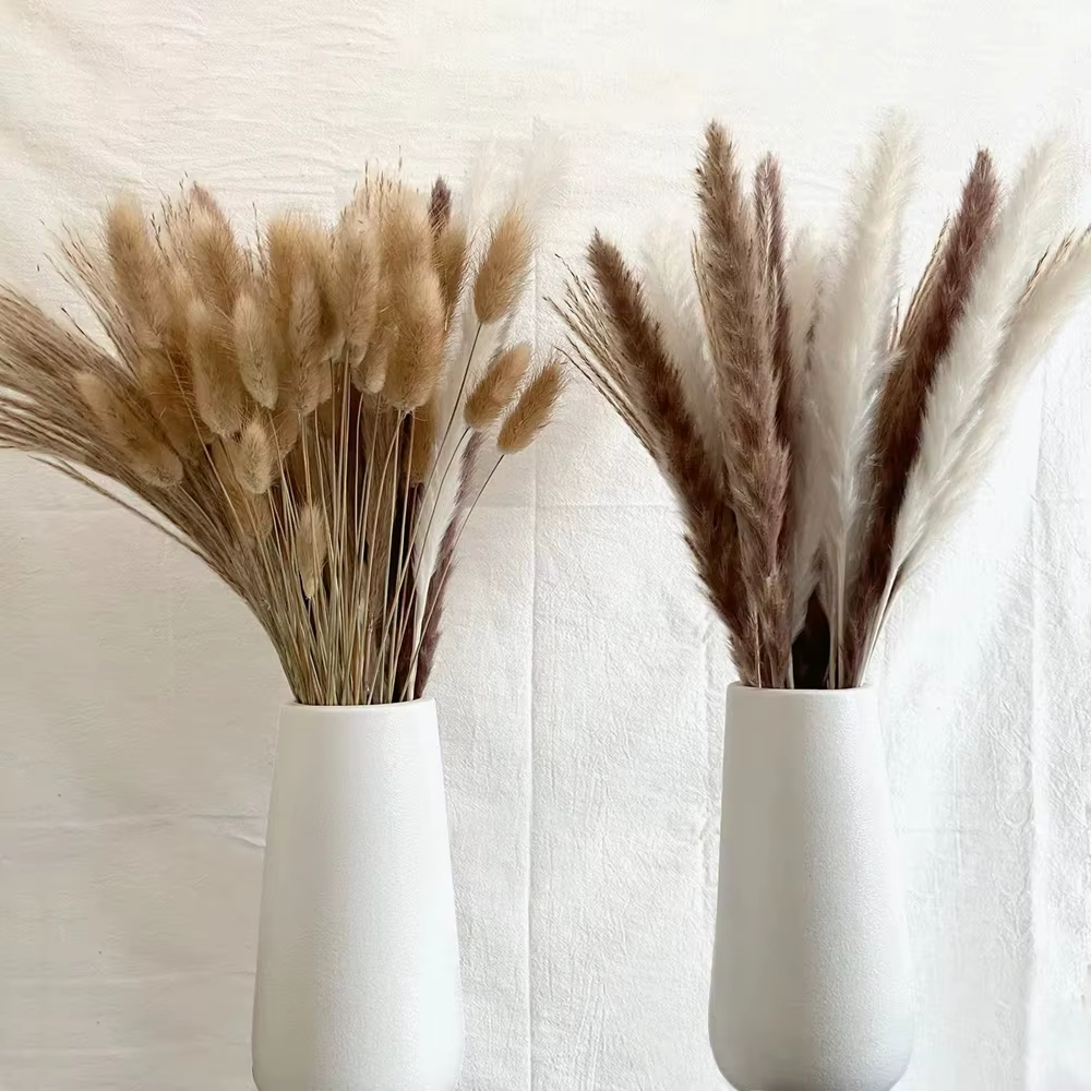 100 pièces/lot crème Pampas herbe moelleux chambre Phragmites décoration naturel lapin queue