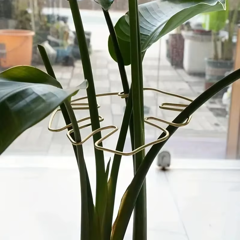Support de plante suspendu avec crochets en fer