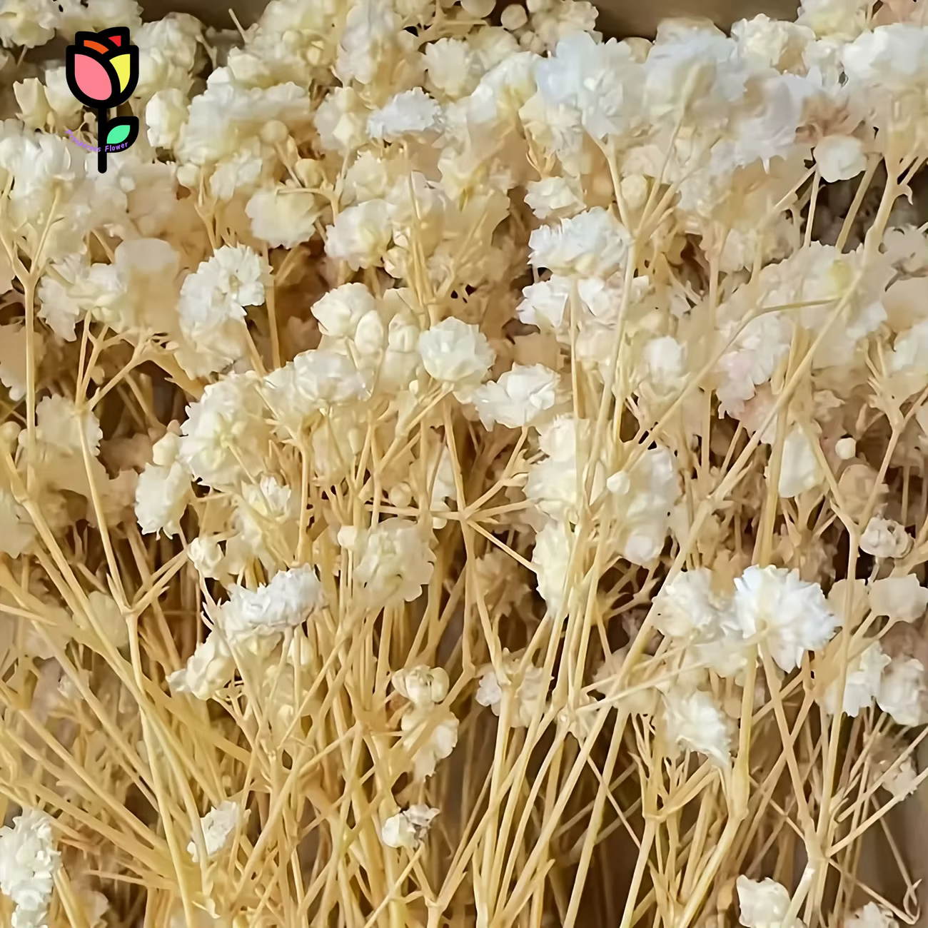Bouquet de fleurs sèches