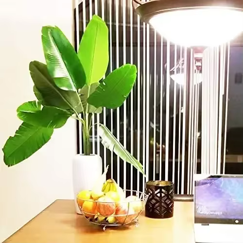 Faux Gels de Plantes Artificielles
