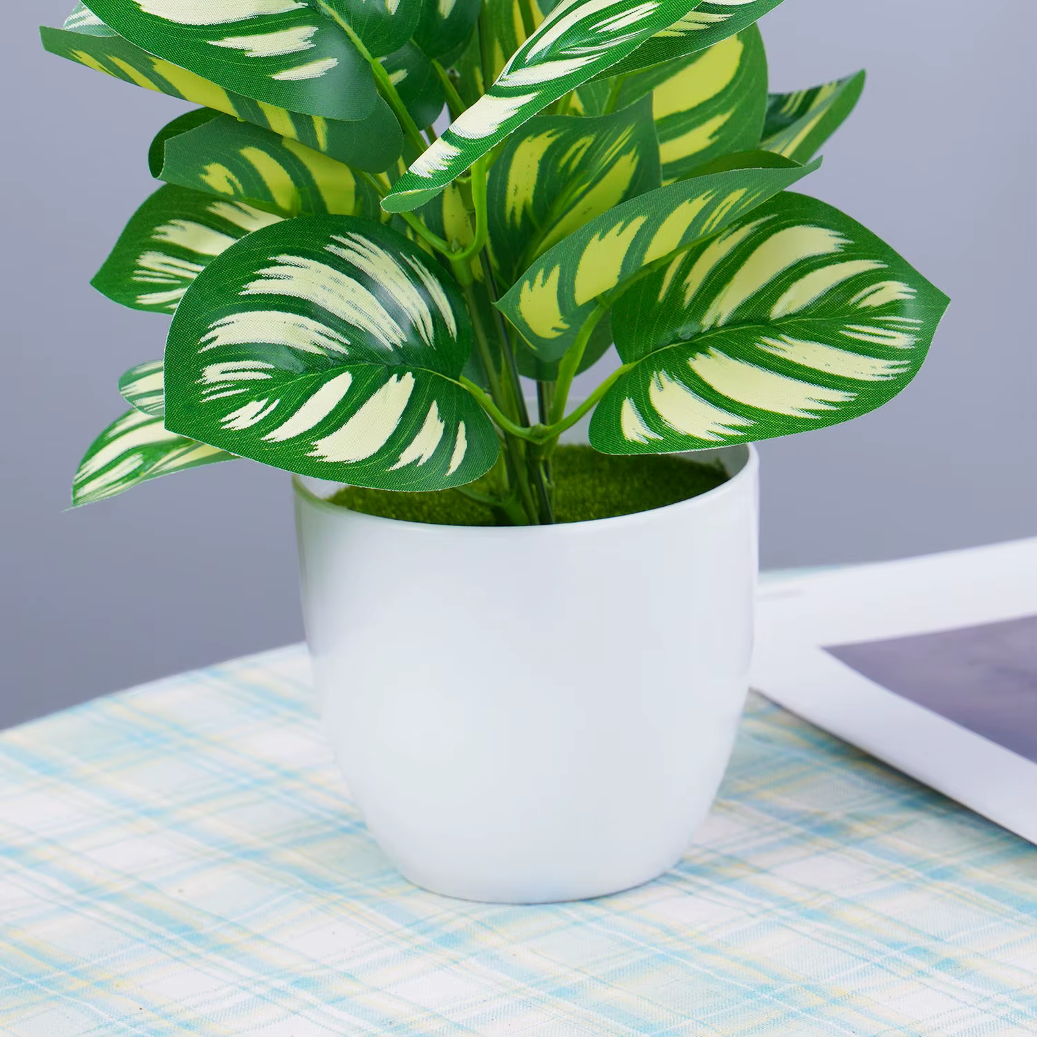 Plantes vertes artificielles bonsaï