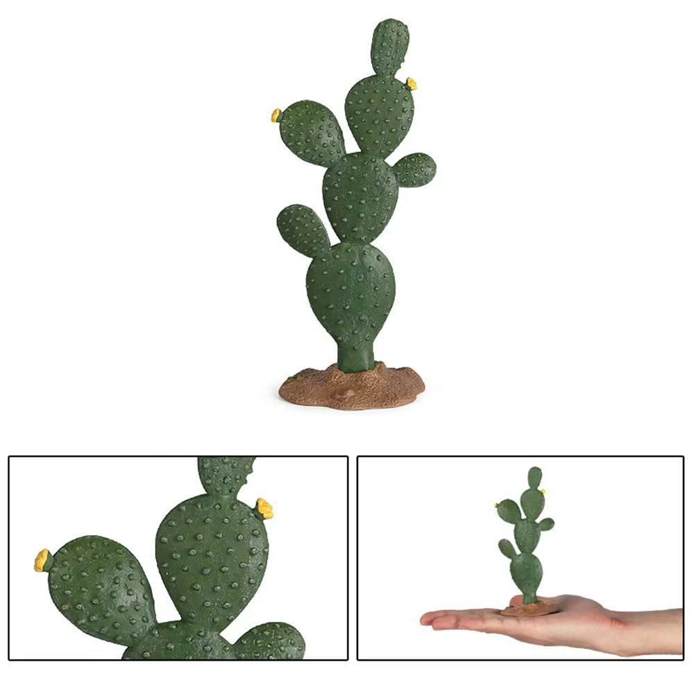 Modèles de Cactus artificiels en plastique