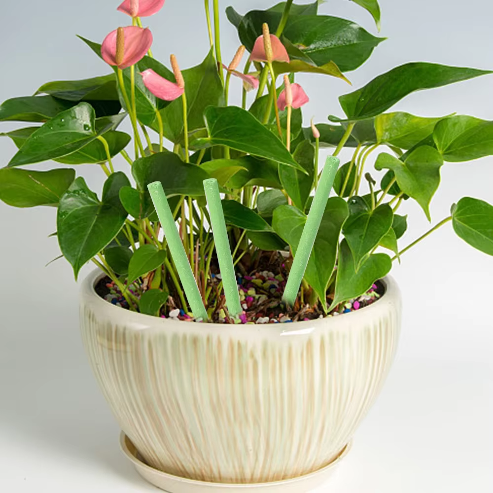 Bâton de croissance universel pour plantes en pot d'intérieur