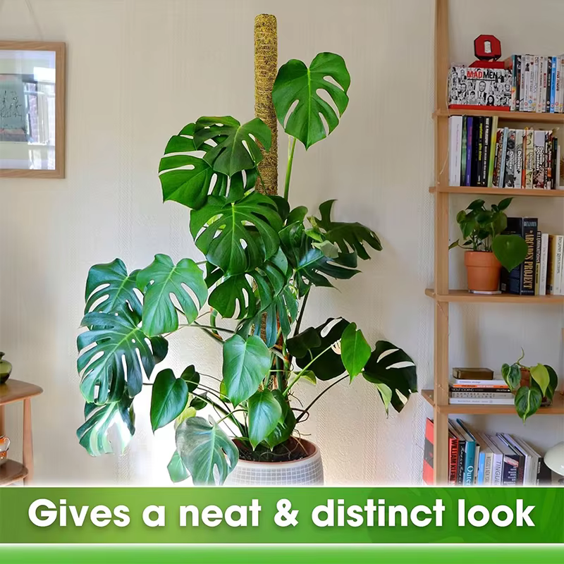 Supports pliables pour plantes grimpantes