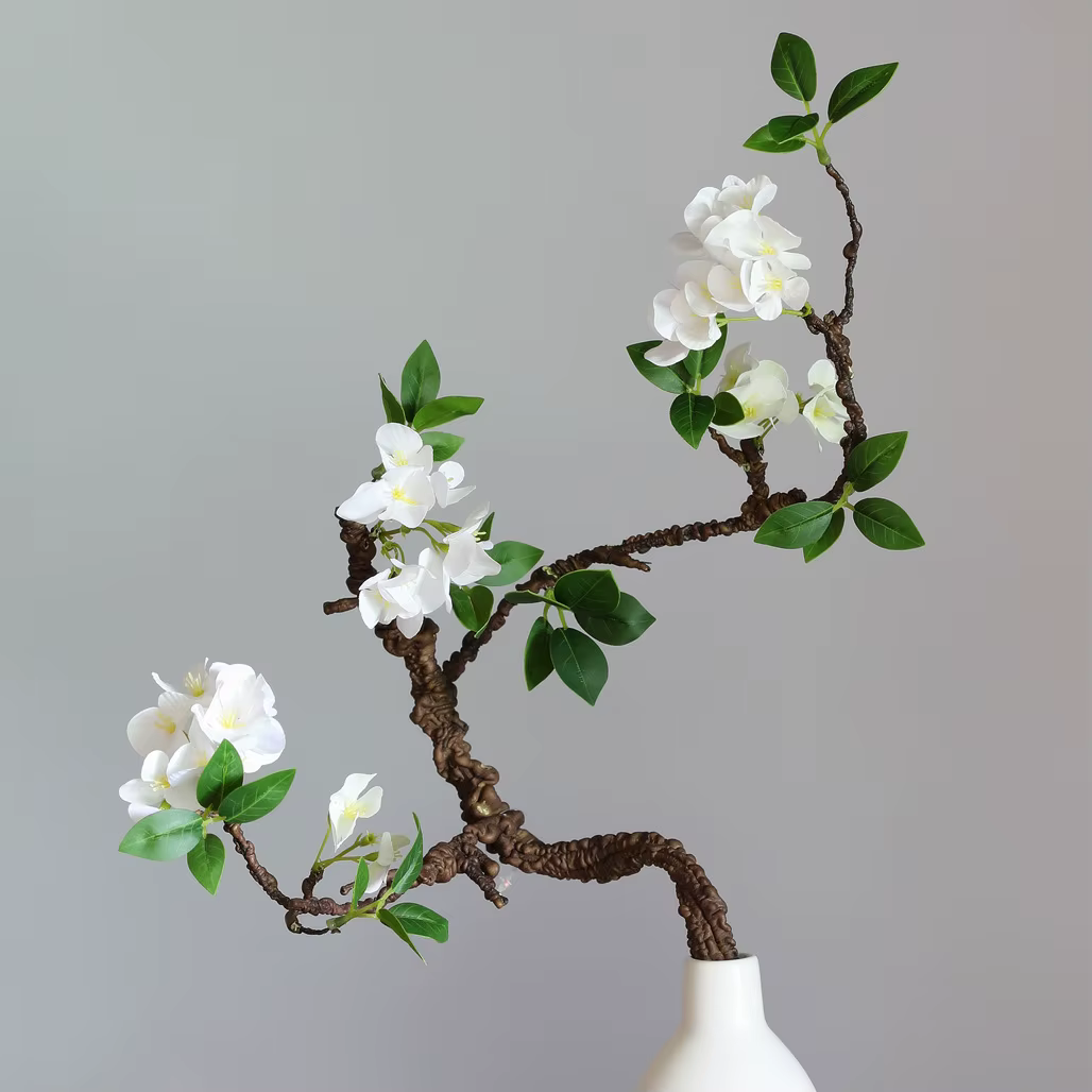 Nouvelle brindille d'arbre flétri