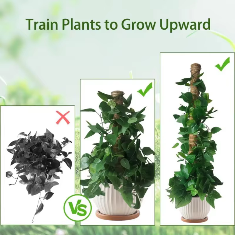 Supports pliables pour plantes grimpantes