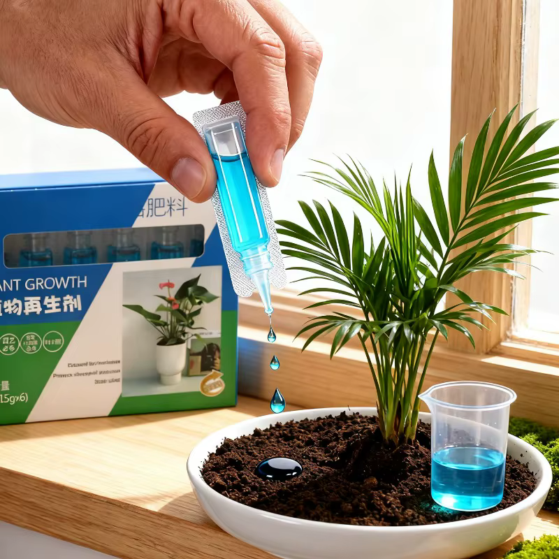 Plante d'intérieur riche en nutriments
