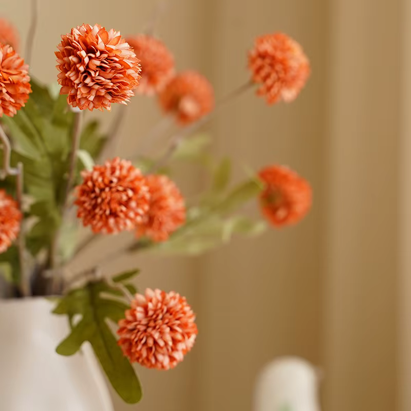 Bouquet de fleurs de pissenlit