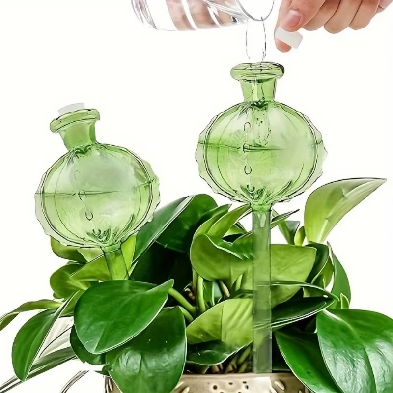 Globes d'Arrosage existent en Verre Durable