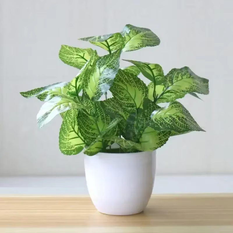 Plantes Artificielles Bonsaï