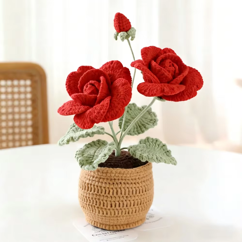 Plante en pot de roses à quatre feuilles et à deux têtes