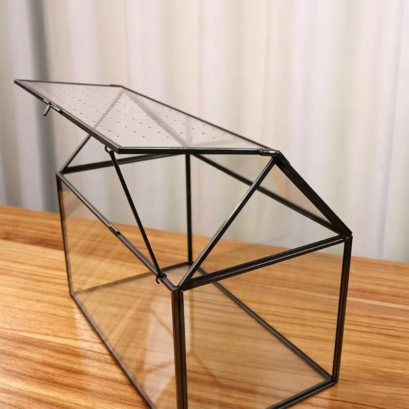 Boîte terrarium en verre pour exposition plantes